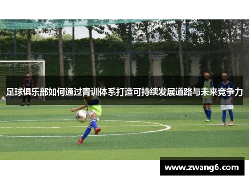 足球俱乐部如何通过青训体系打造可持续发展道路与未来竞争力